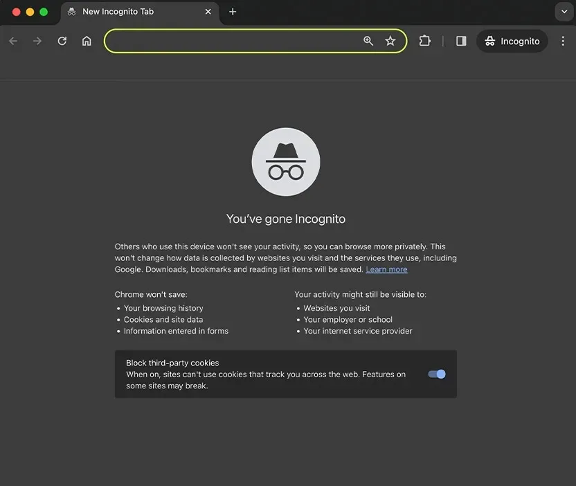 Chrome Incognito start page explaining what Chrome will not save and who may still observe browsing activity.